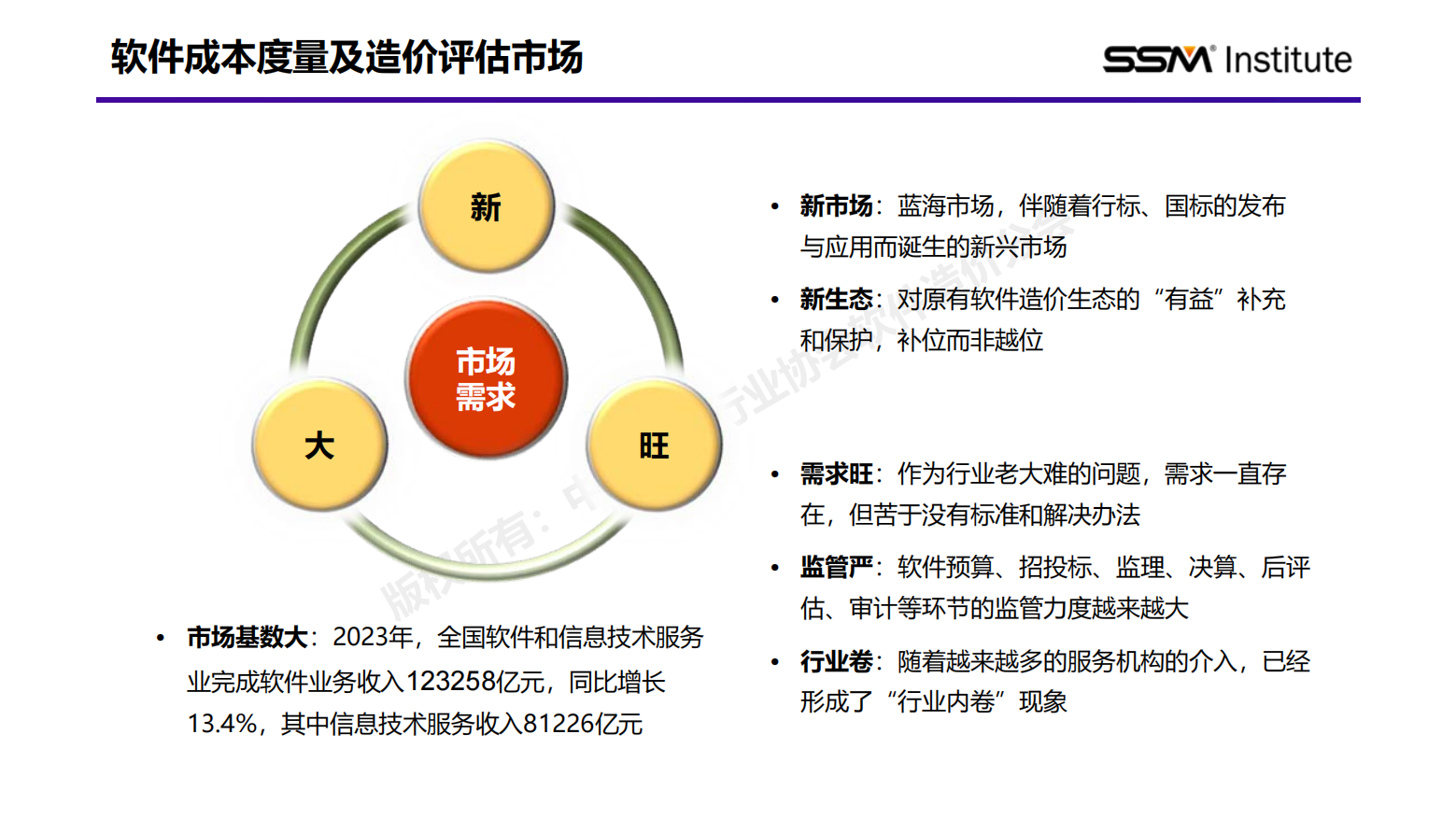 国家标准《软件工程 软件开发成本度量规范》行业应用报告（2024版）插图20